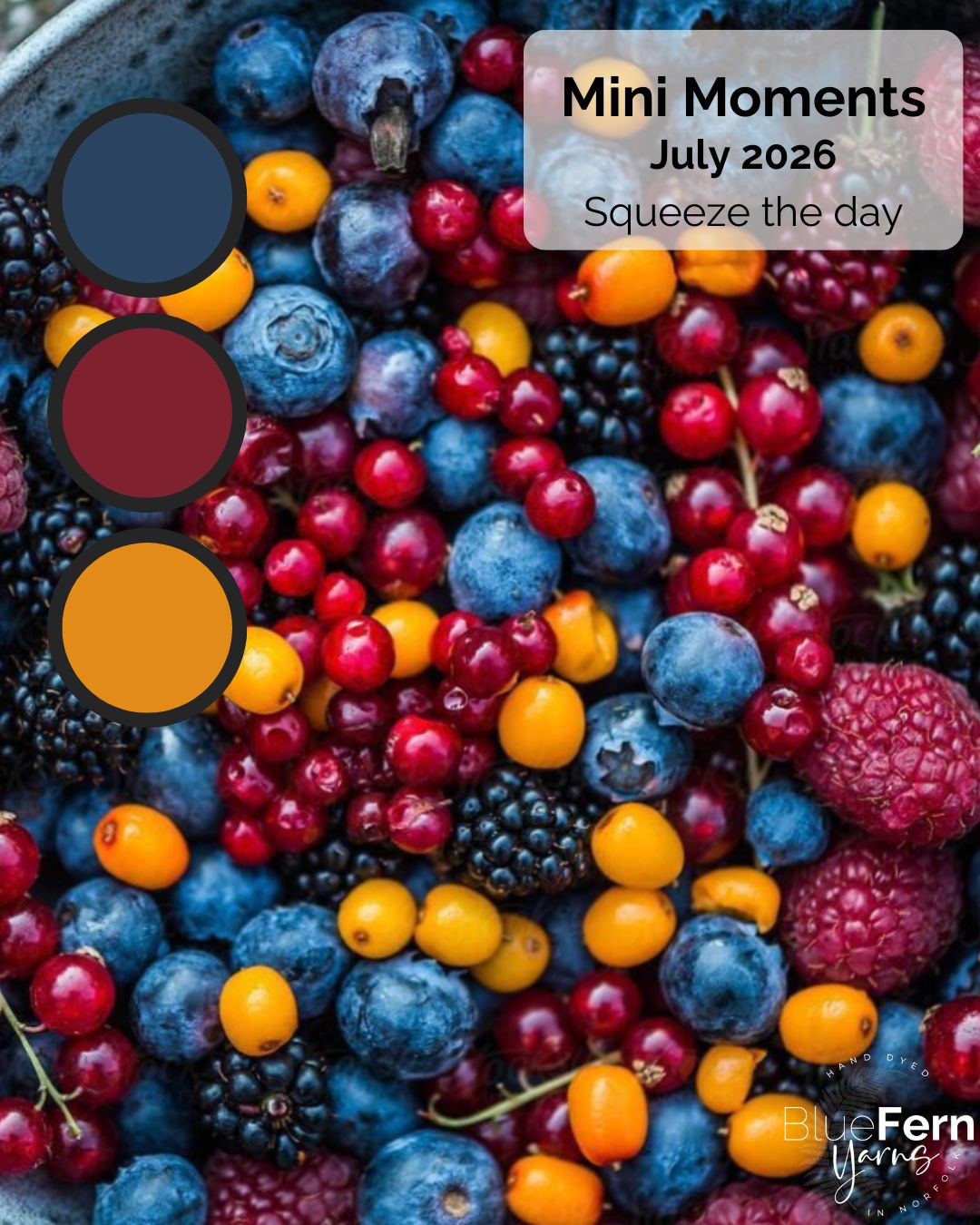 Mini Moments – July 2026 - Squeeze the Day