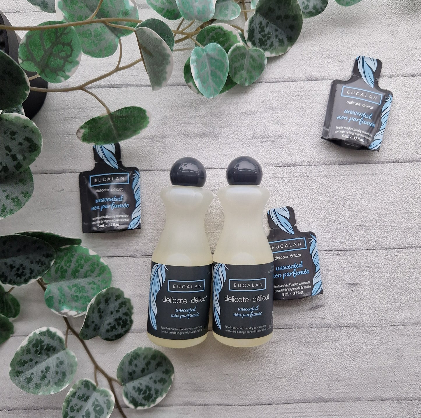 Unscented Eucalan Wool Wash