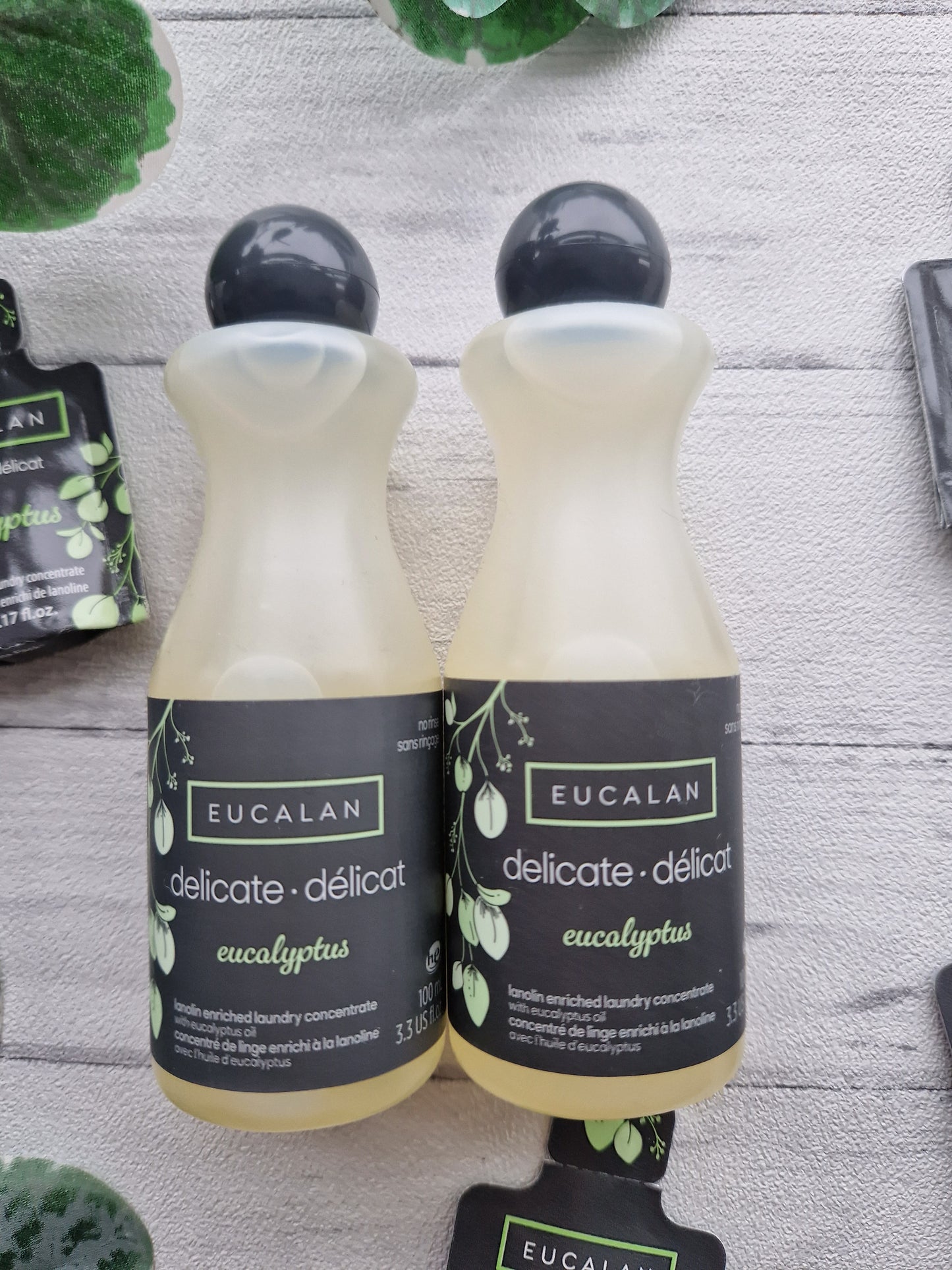 Eucalyptus Eucalan Wool Wash