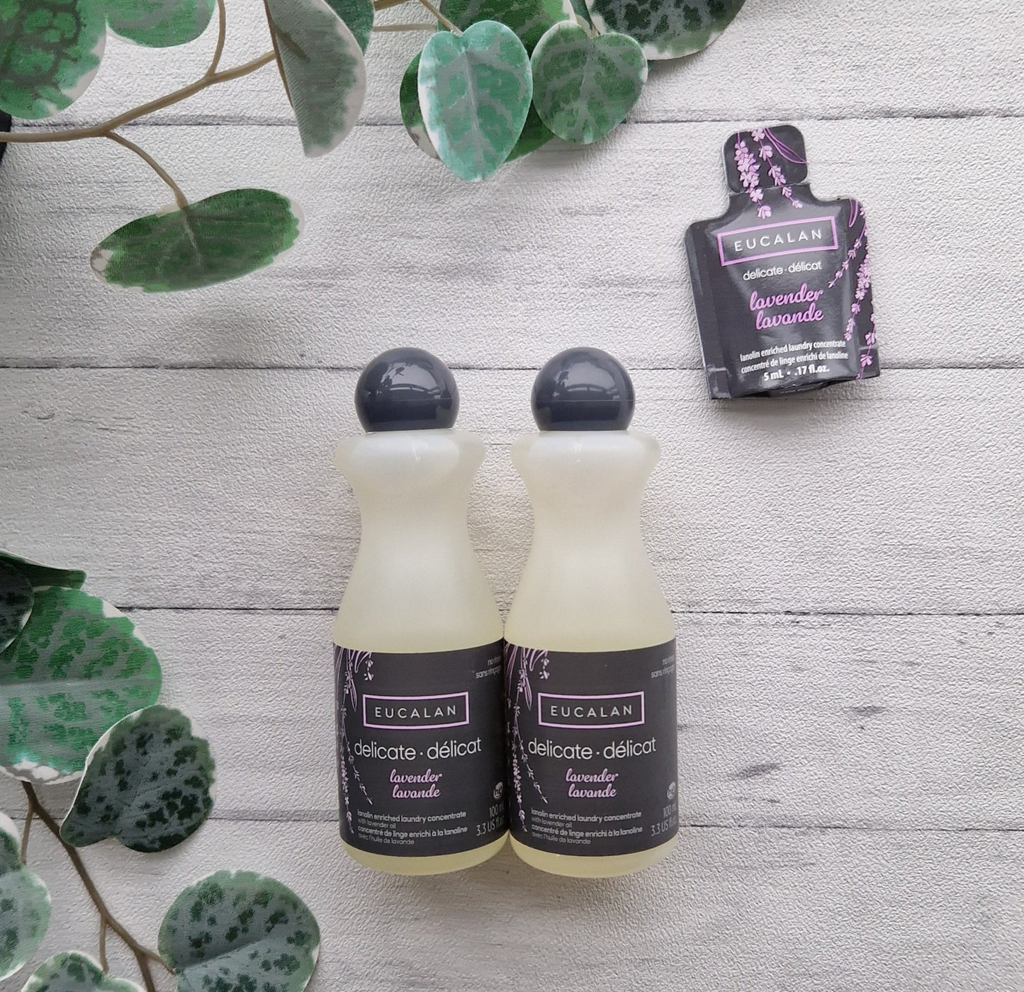 Lavender Eucalan Wool Wash