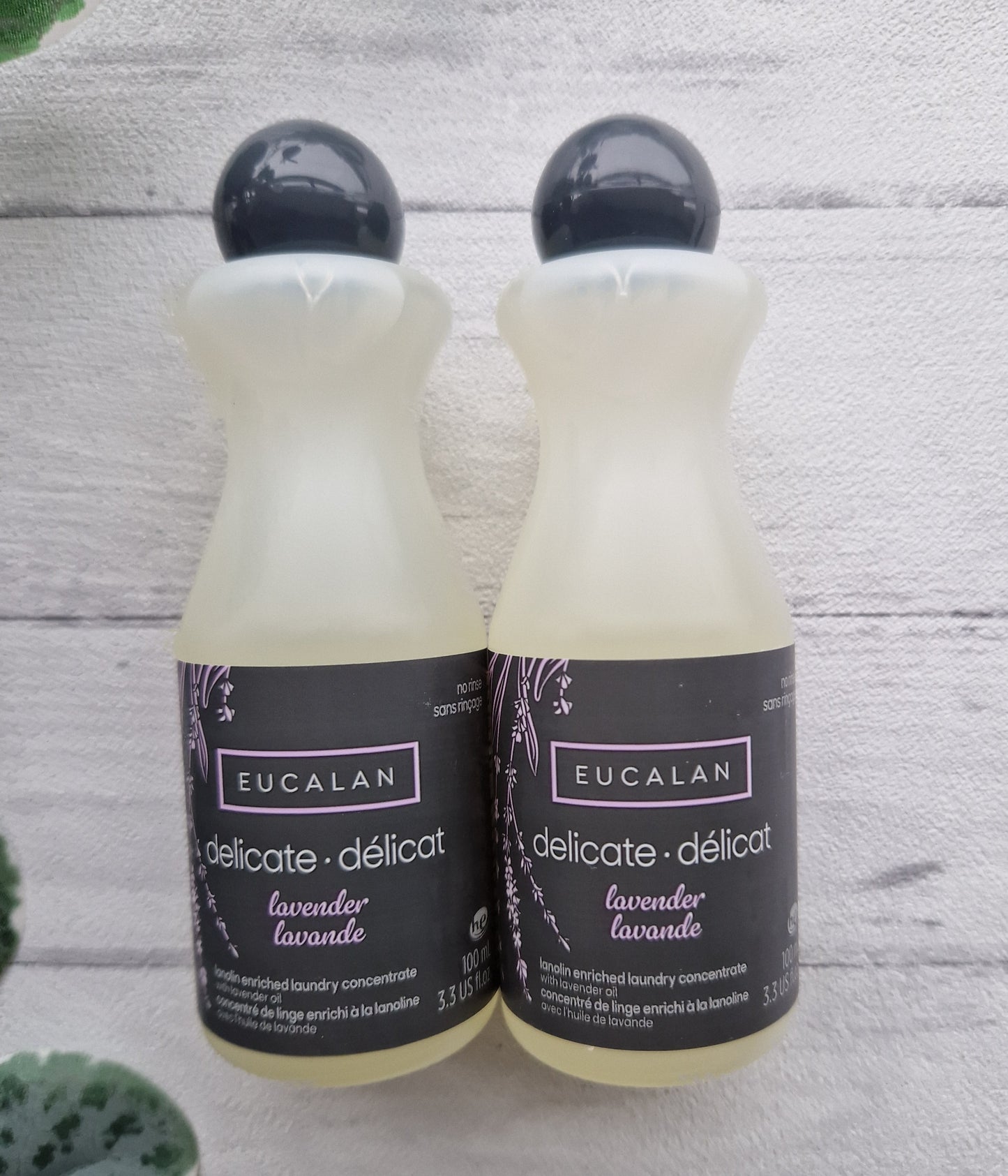 Lavender Eucalan Wool Wash