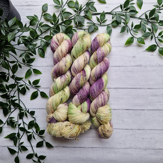 Crocus - Classic Sock
