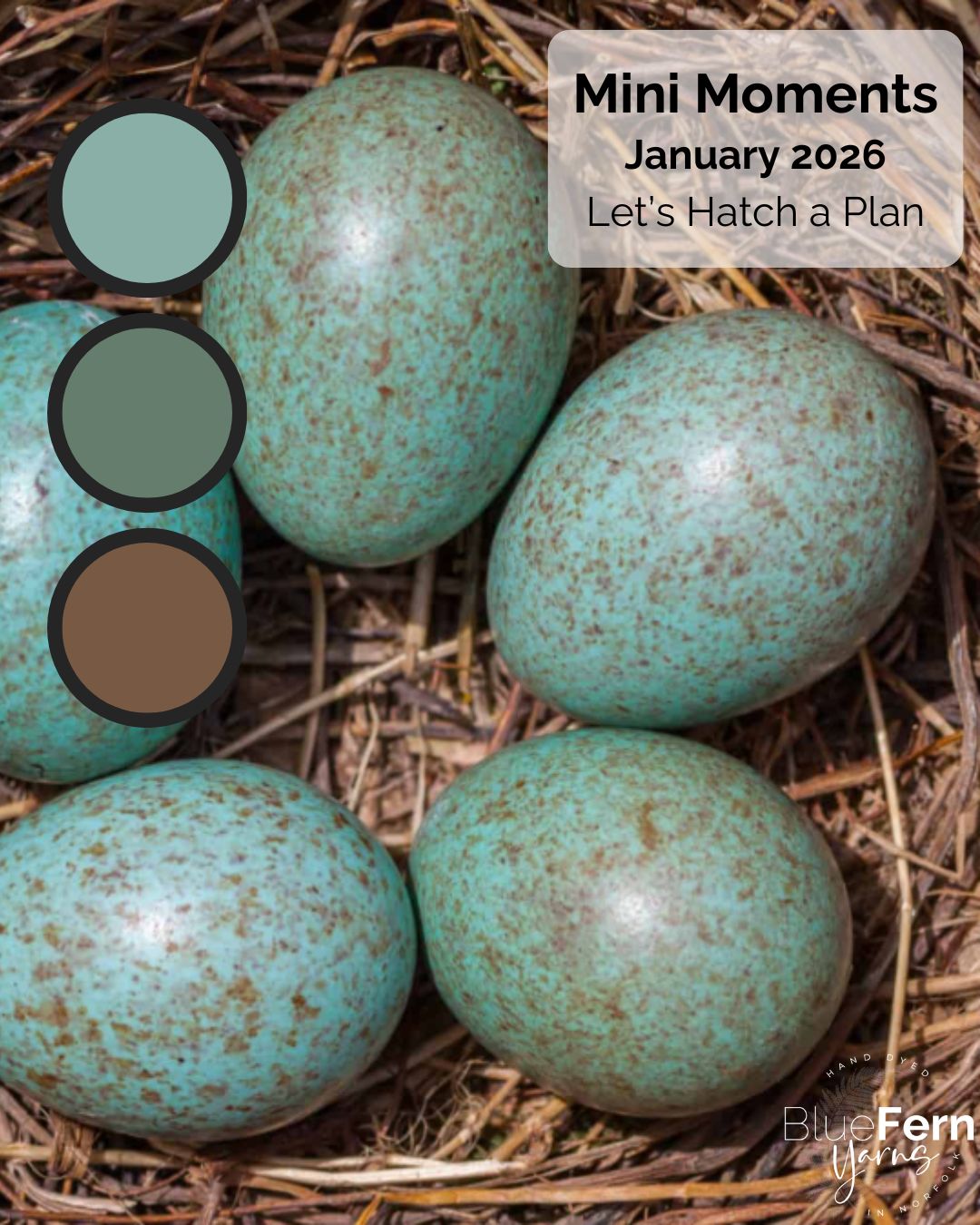 Mini Moments – January 2026 - Let's Hatch a Plan