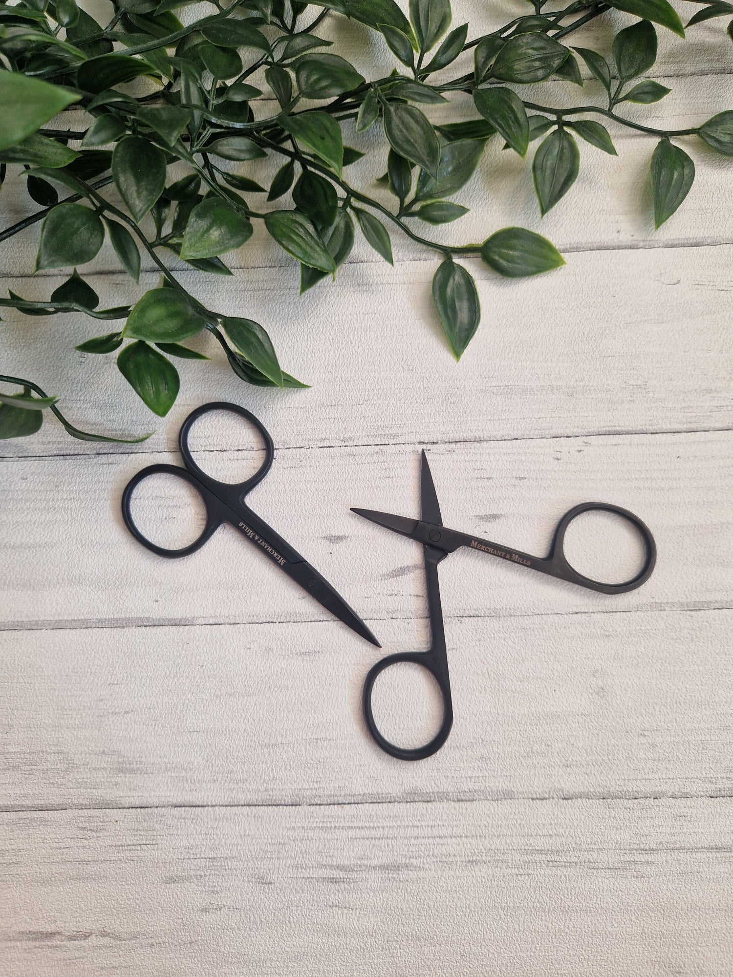 Scissors