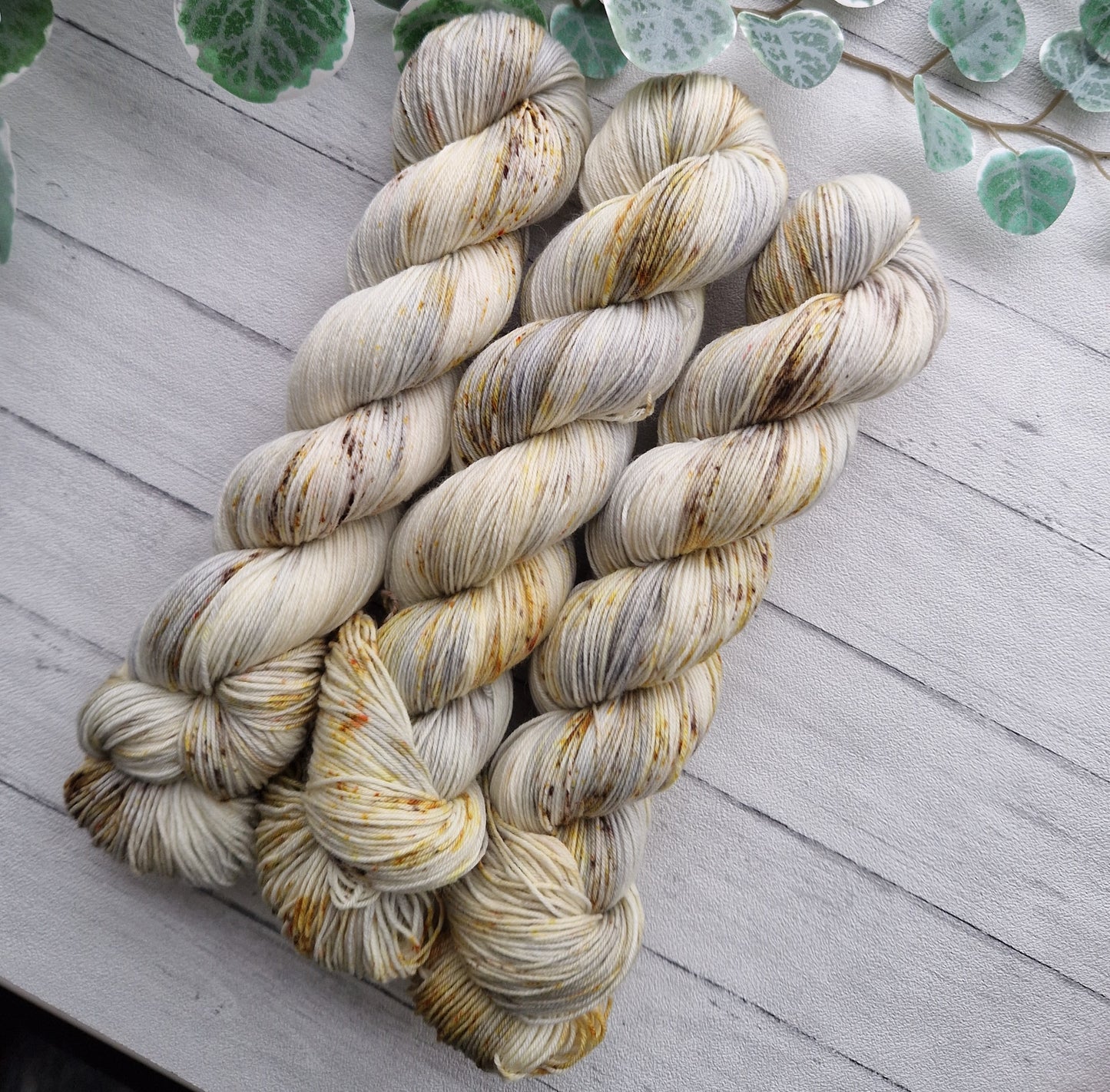 Lichen - Classic DK